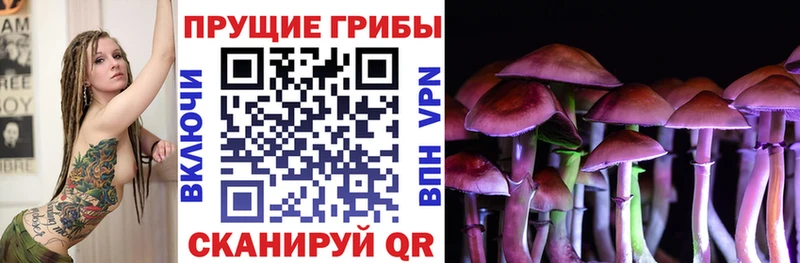 Купить закладки  Семёнов  Галлюциногенные грибы прущие грибы 